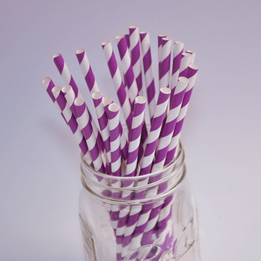 Pailles en papier - Couleur Violet